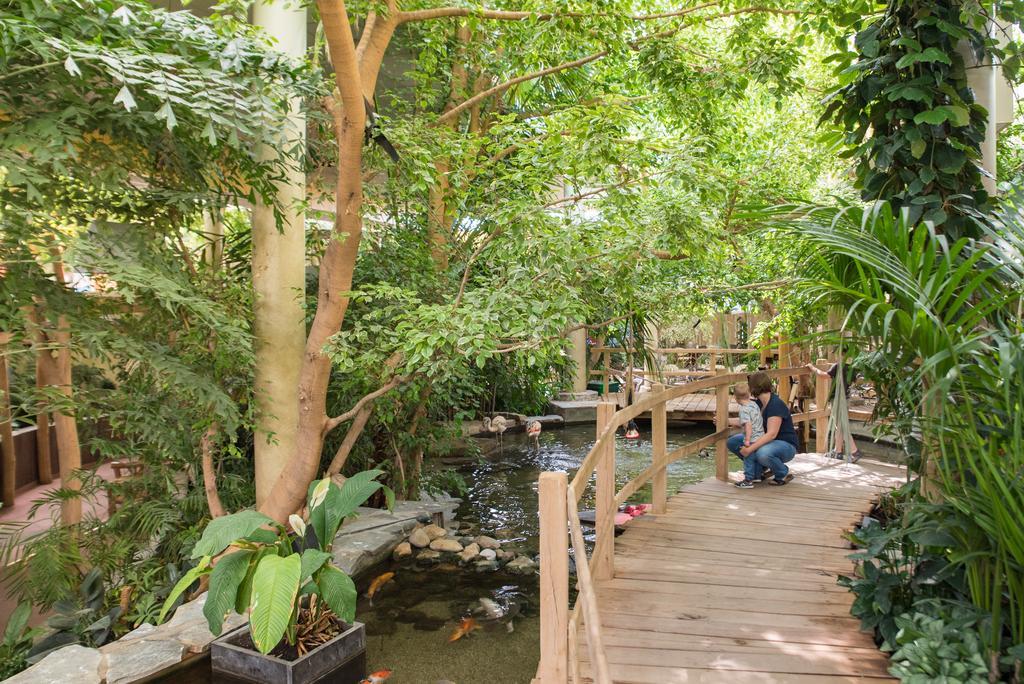 אאודורפ Center Parcs Port Zelande Beach מראה חיצוני תמונה