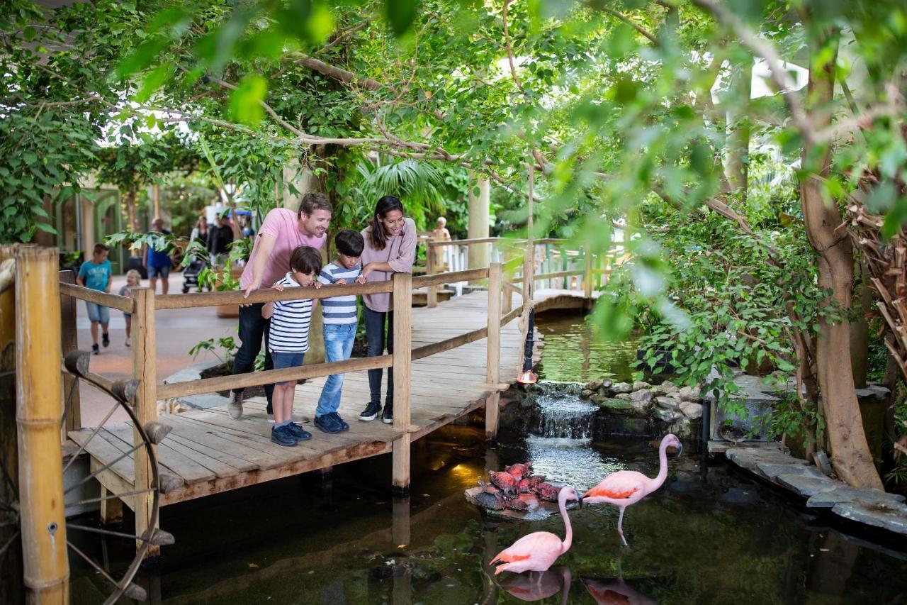 אאודורפ Center Parcs Port Zelande Beach מראה חיצוני תמונה